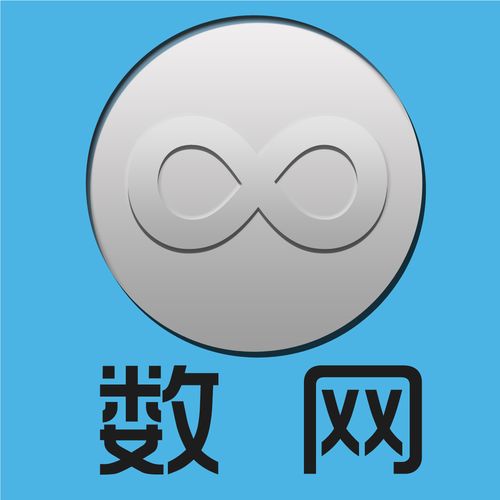 北京数网无限计算机系统服务 数字化转型的技术底座